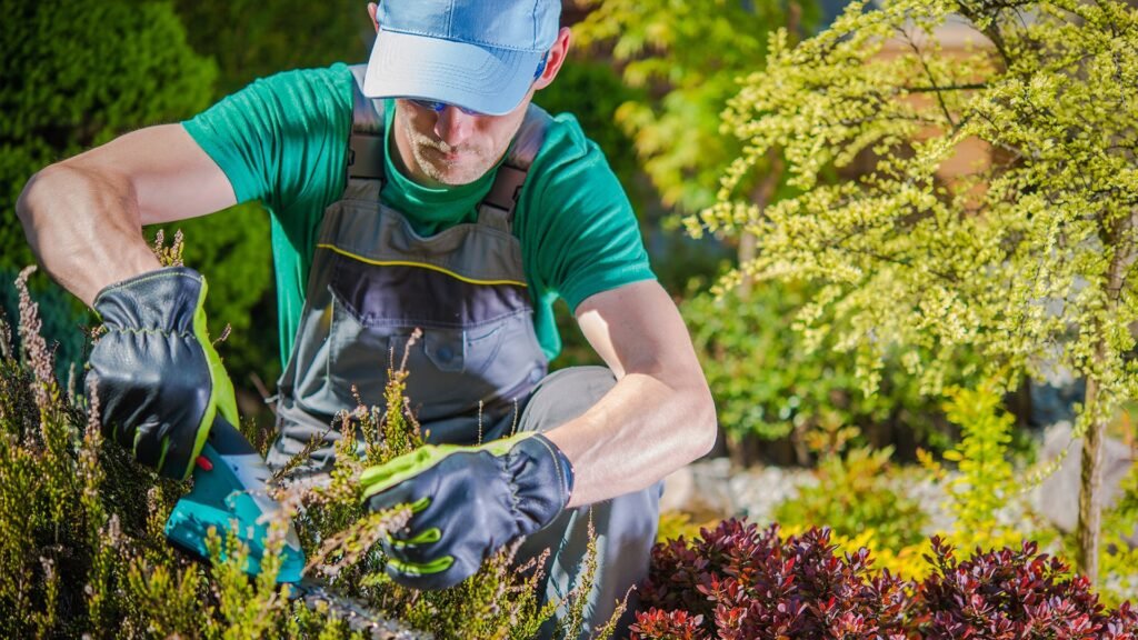 Gardening service