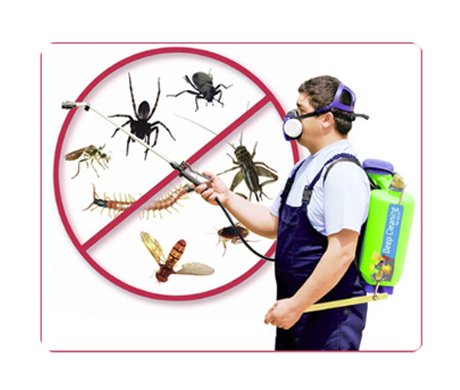 PEST CONTROL SERVICES CHENNAI